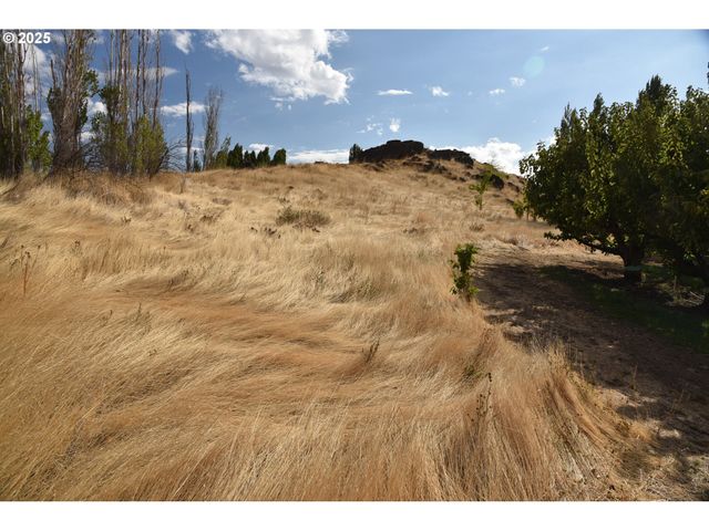 715 GARDEN Ln, Dallesport, WA 98617