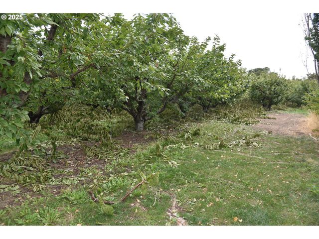 715 GARDEN Ln, Dallesport, WA 98617