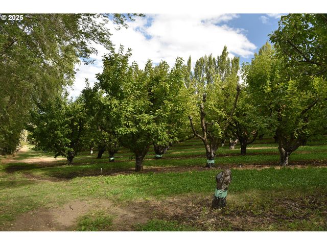 715 GARDEN Ln, Dallesport, WA 98617