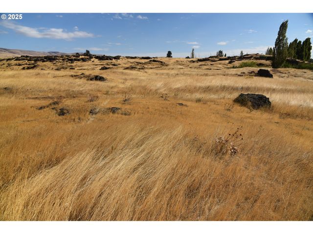 715 GARDEN Ln, Dallesport, WA 98617