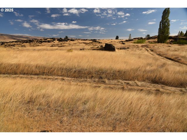 715 GARDEN Ln, Dallesport, WA 98617