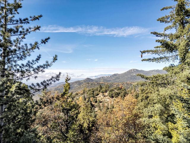 25121 Pine Cove Road, Idyllwild, CA 92549