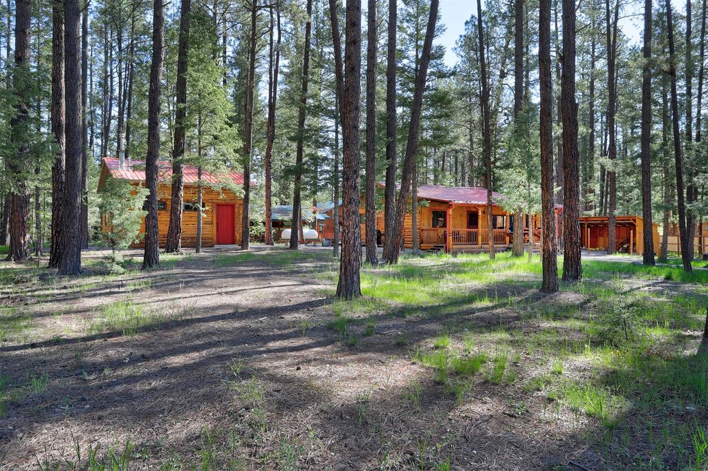 Image 1 of property listing at 328 Blue Spruce Drive, Jemez Springs, NM 87025