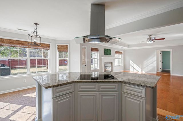 122 Wyeth Drive, Harvest, AL 35749