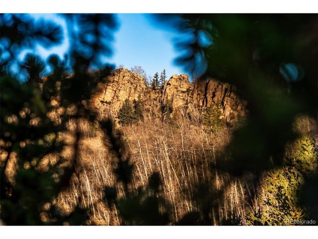 420 Shetland Cir, Como, CO 80432