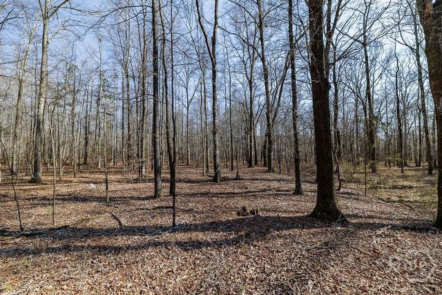 2644 Nunnally Shoals Tract 2 Road, Good Hope, GA 30641