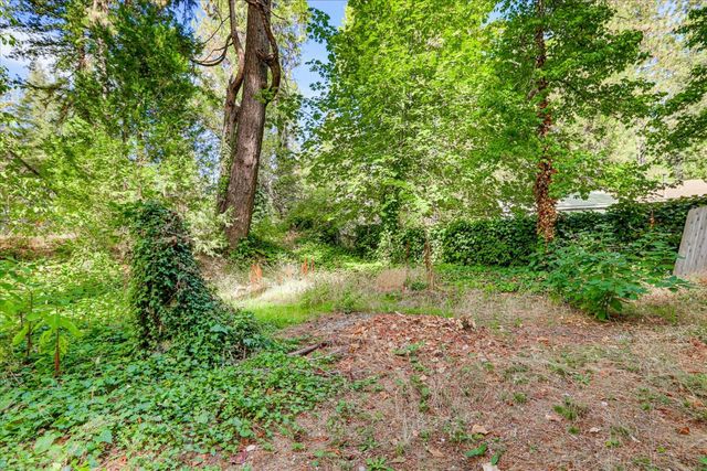 13020 Sadie D Dr, Nevada City, CA 95959