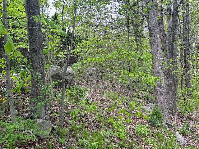 68 WESTLEDGE Terrace, Torrington, CT 06790