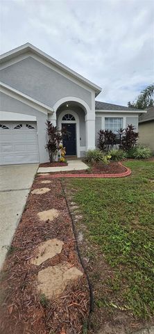 3233 DOWNAN POINT DRIVE, Land O Lakes, FL 34638