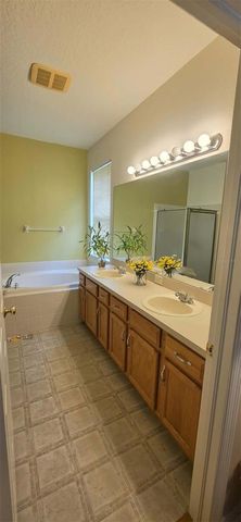 3233 DOWNAN POINT DRIVE, Land O Lakes, FL 34638