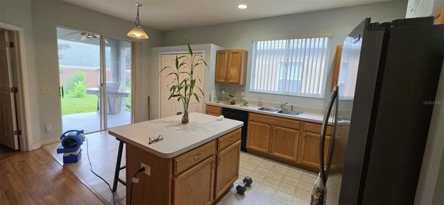3233 DOWNAN POINT DRIVE, Land O Lakes, FL 34638