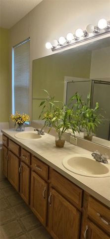 3233 DOWNAN POINT DRIVE, Land O Lakes, FL 34638
