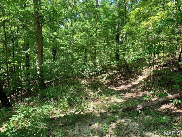 Lot 2 Dogwood Acres, Imperial, MO 63052