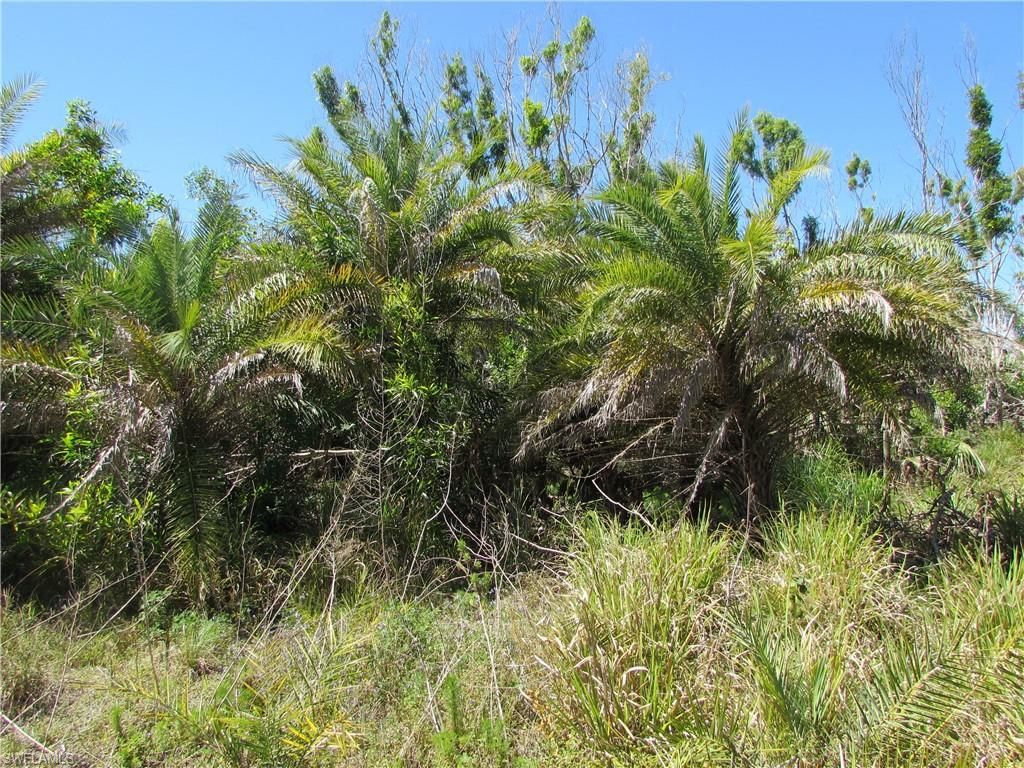 Samadani LN, BOKEELIA, FL 33922 — photo 4