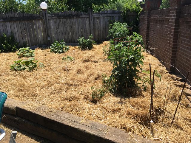 3980 Bow Street NE, Cleveland, TN 37312