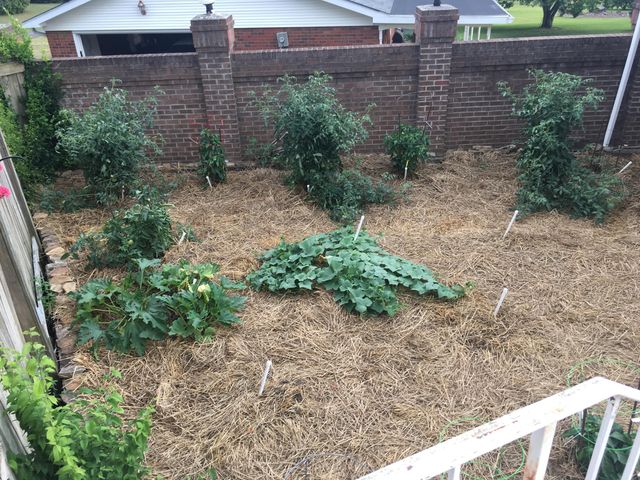 3980 Bow Street NE, Cleveland, TN 37312