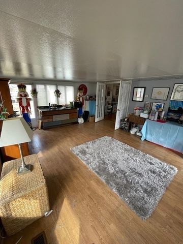 406 S Comet Drive, Braidwood, IL 60408