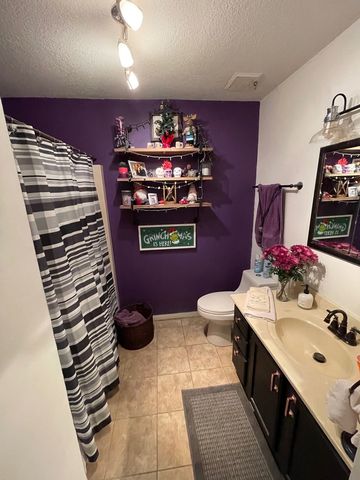 406 S Comet Drive, Braidwood, IL 60408