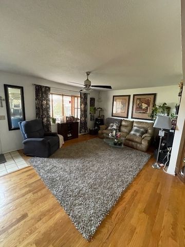 406 S Comet Drive, Braidwood, IL 60408