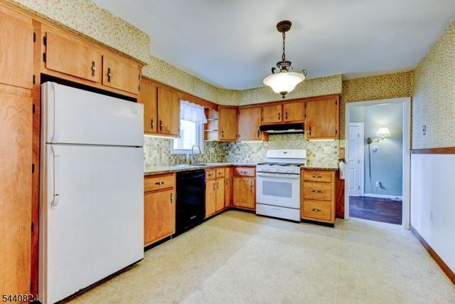 40 Mechanic St, Somerville Boro, NJ 08876