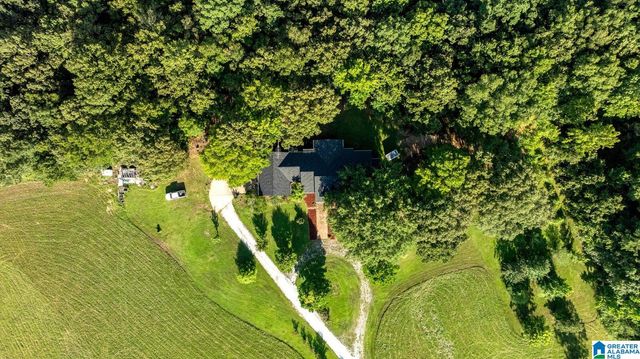 2821 COUNTY ROAD 50, Moundville, AL 35474
