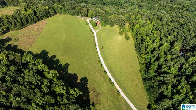 2821 COUNTY ROAD 50, Moundville, AL 35474