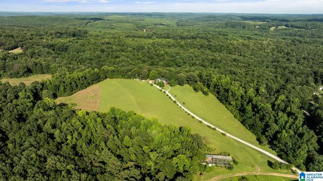 2821 COUNTY ROAD 50, Moundville, AL 35474