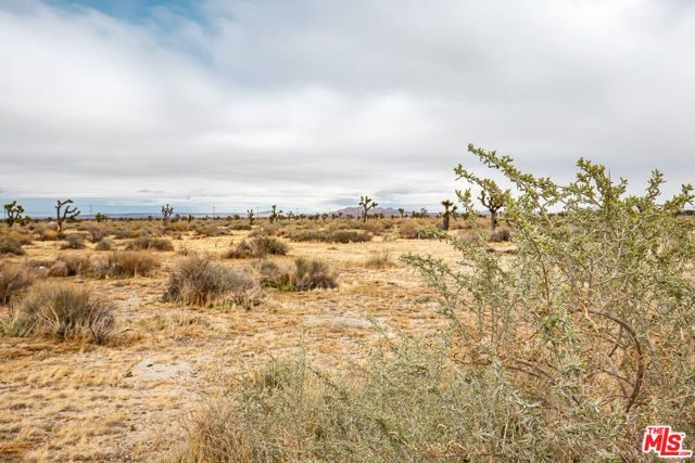 1 70th St E Near Avenue q10, Palmdale, CA 93552