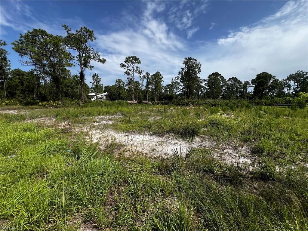 1304 W 9th ST, LEHIGH ACRES, FL 33972 — photo 3