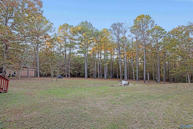 245 Turkey Town Road, Gadsden, AL 35901