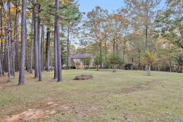 245 Turkey Town Road, Gadsden, AL 35901