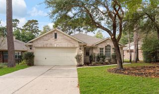 99 E Foxbriar Forest Circle, The Woodlands, TX 77382