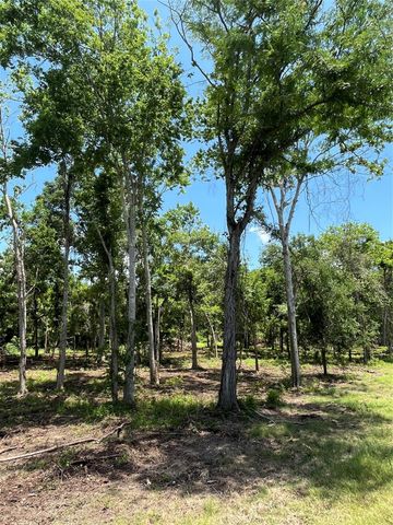 0 Oyster Creek Drive, Bailey's Prairie, TX 77515