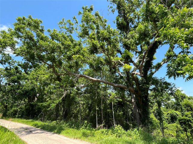 0 Oyster Creek Drive, Bailey's Prairie, TX 77515