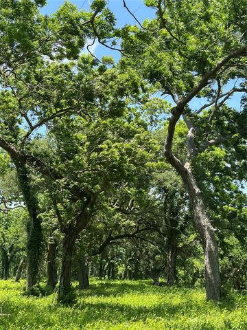 0 Oyster Creek Drive, Bailey's Prairie, TX 77515