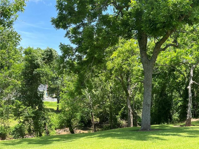 0 Oyster Creek Drive, Bailey's Prairie, TX 77515