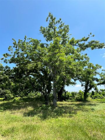 0 Oyster Creek Drive, Bailey's Prairie, TX 77515