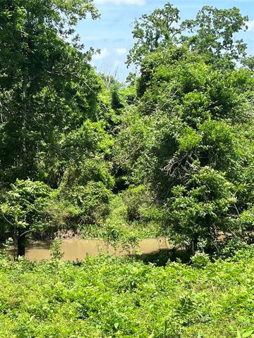 0 Oyster Creek Drive, Bailey's Prairie, TX 77515