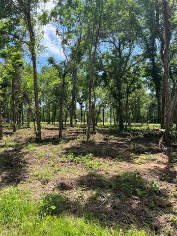 0 Oyster Creek Drive, Bailey's Prairie, TX 77515