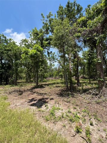 0 Oyster Creek Drive, Bailey's Prairie, TX 77515