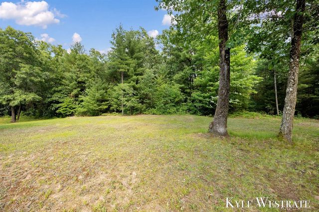 5953 S Newcosta Avenue, Newaygo, MI 49337