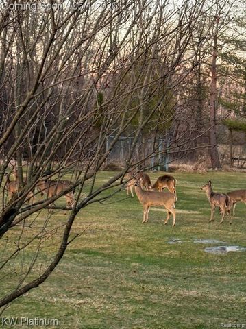 26050 Irwin Road, Richmond, MI 48062