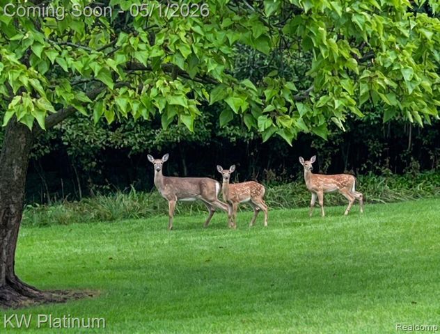 26050 Irwin Road, Richmond, MI 48062