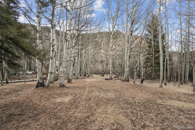74 Silver Lode Circle, Dumont, CO 80436
