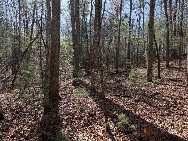 1156 Liberty Road, Murphy, NC 28906