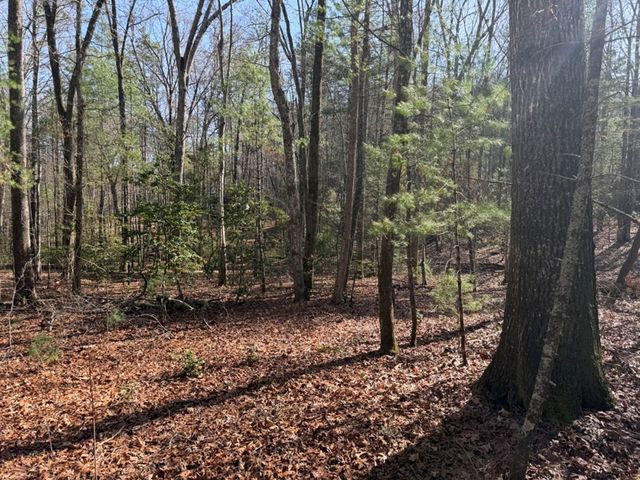 1156 Liberty Road, Murphy, NC 28906
