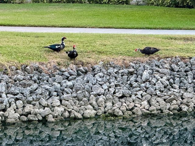 4683 WINSTON LANE N 30, Sarasota, FL 34235