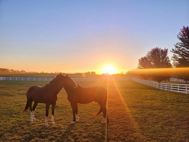 5678 MORRISON ROAD, De Pere, WI 54115