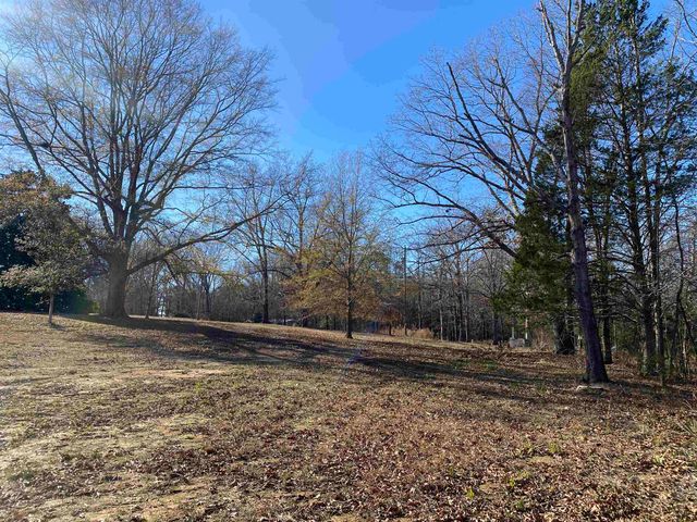 1120 JOT EM DOWN RD, Morris Chapel, TN 38361