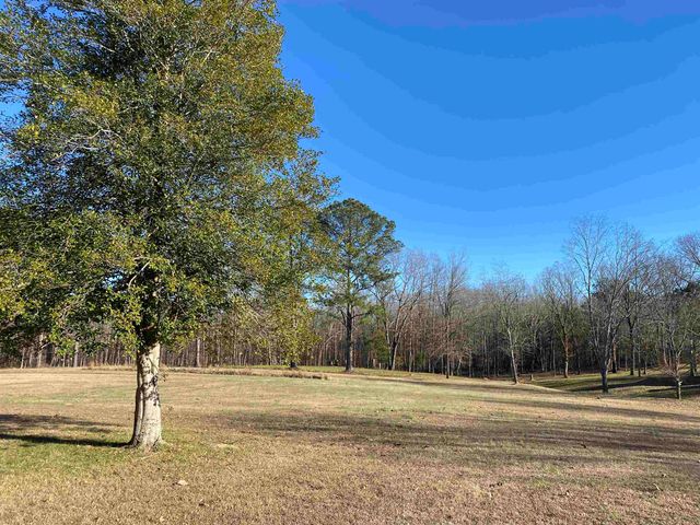 1120 JOT EM DOWN RD, Morris Chapel, TN 38361